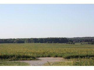 Property photo 51 - ILLINOIS LAND AUCTION - 705+/- ACRES OFFERED IN 16 TRACTS IN EDWARDS COUNTY, ILLINOIS